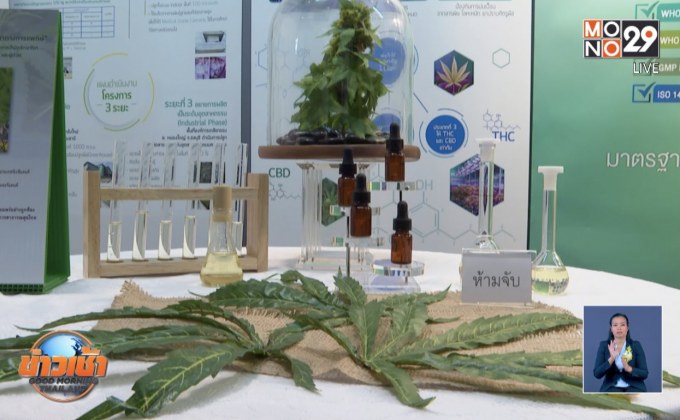 หารือผลิตน้ำมันกัญชาสูตร “อ.เดชา” วันนี้