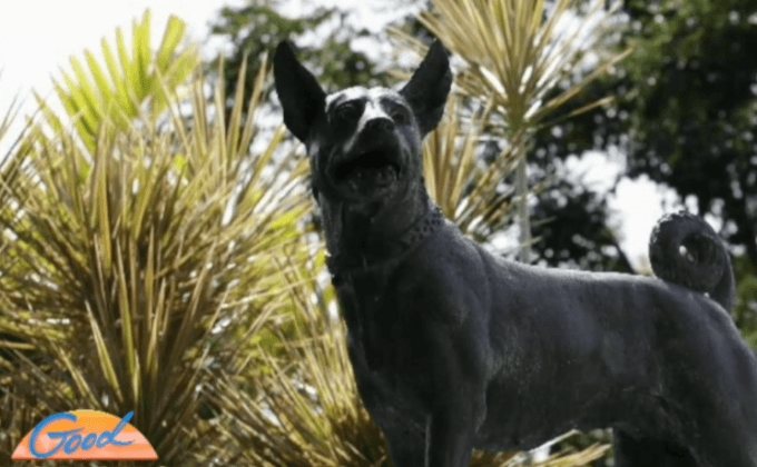 เตรียมบรรจุกระดูกคุณทองแดง ในฐานอนุสาวรีย์ที่อำเภอหัวหิน