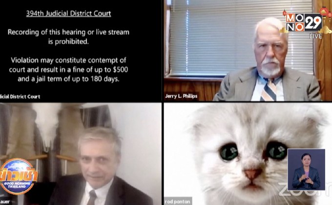 ทนายสหรัฐเปิดฟิลเตอร์แมวระหว่างไต่สวนคดีออนไลน์