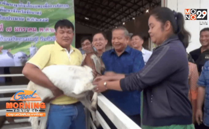 สัตว์ป่าเขตรักษาพันธุ์สัตว์ป่าภูวัวขาดแคลนอาหาร