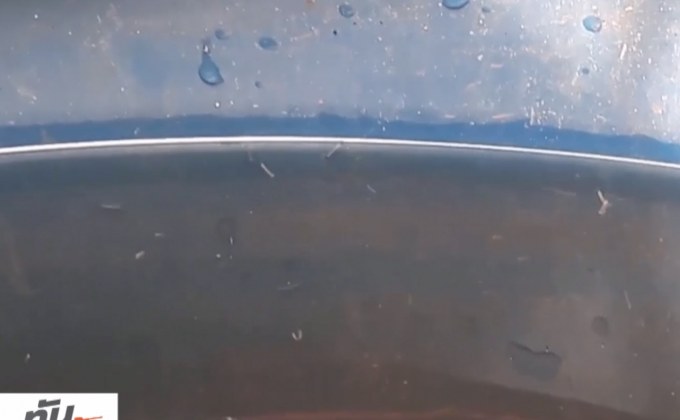 จ.พังงา เฝ้าระวังไข้เลือดออกระบาด