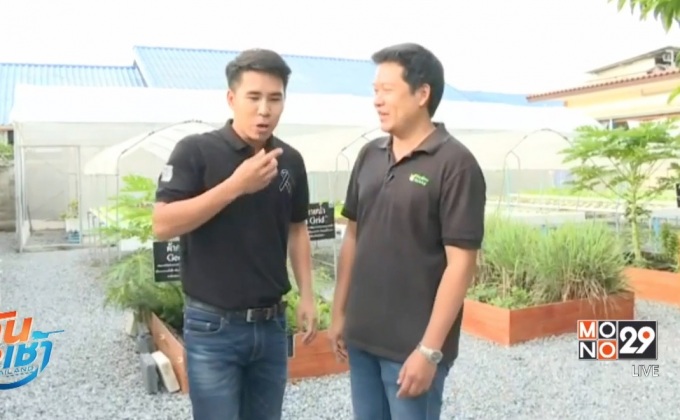 เจษฎาพาลุย : ฟาร์มผักไฮโดรโปรนิค