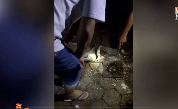 พลุระเบิดในงานบุญ จ.พะเยา