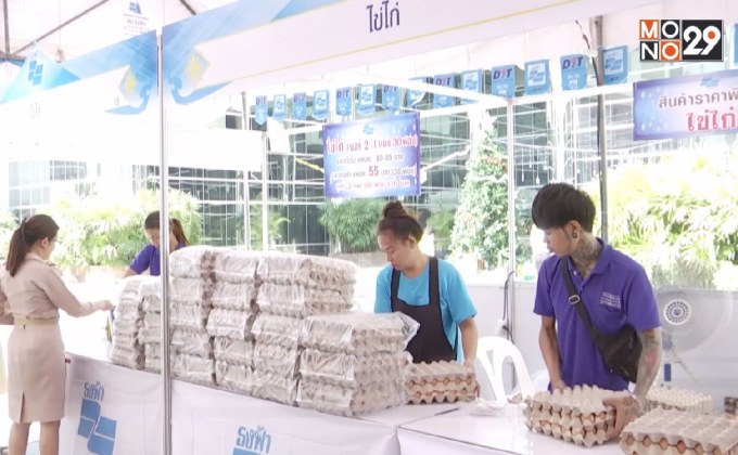 เร่งแก้ไข่ไก่ล้นตลาดวันละ 3 ล้านฟอง