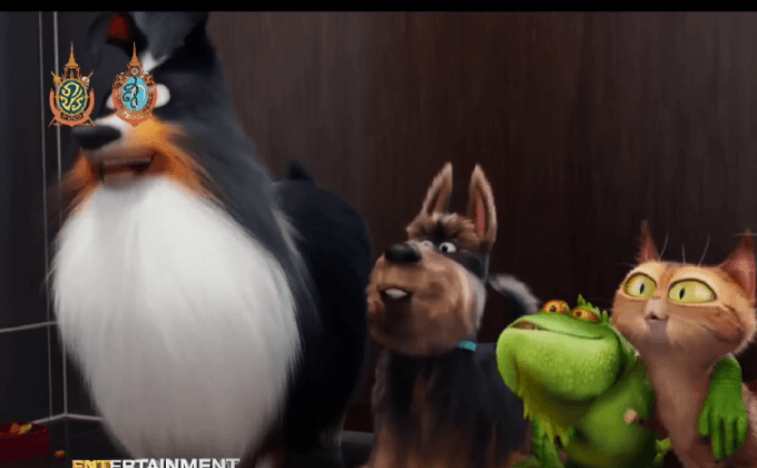 คนรักหมาแมวเฮ The Secret Life of Pets ได้ไฟเขียวสร้างภาคต่อ