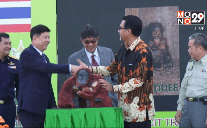 ลิงอุรังอุตัง 14 ตัวกลับถึงอินโดฯ