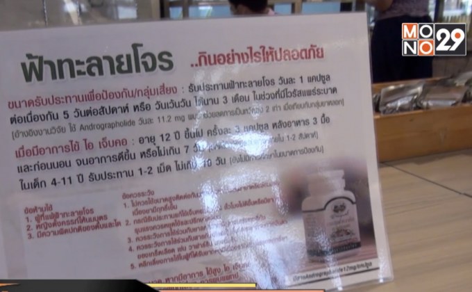 เตือนรับประทานฟ้าทะลายโจรในปริมาณที่จำกัด