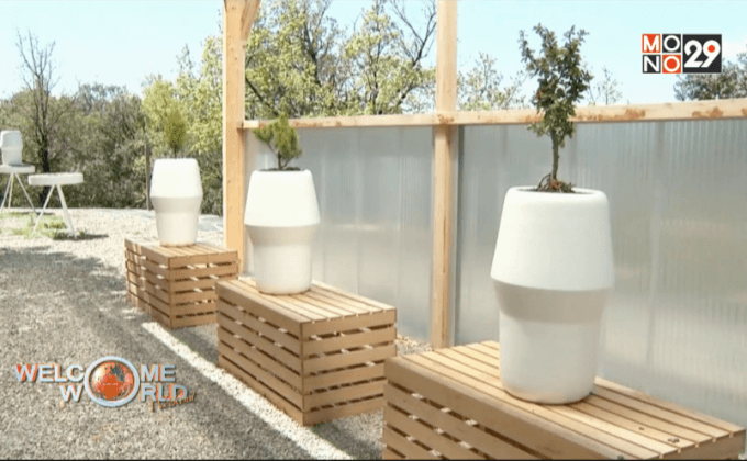 แอพดูแลต้นไม้ในโกศเถ้ากระดูก