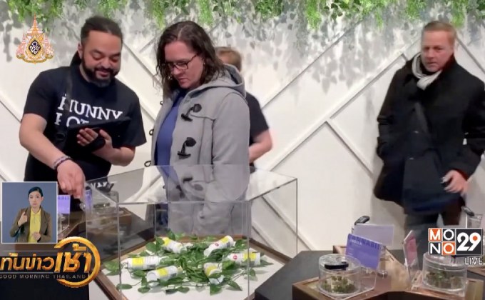 ร้านกัญชาเปิดขายครั้งแรกในรัฐออนแทรีโอ