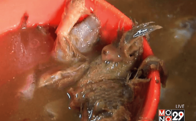 สธ.บุกตรวจร้านขายปลาร้า หลังลูกค้าพบชิ้นส่วนงู