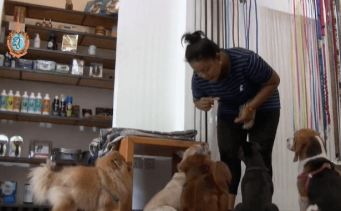 ร้านอาหารเพื่อสุนัขในพนมเปญ