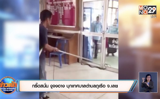 กรี๊ดสนั่น งูจงอาง บุกเทศบาลตำบลภูเรือ จ.เลย