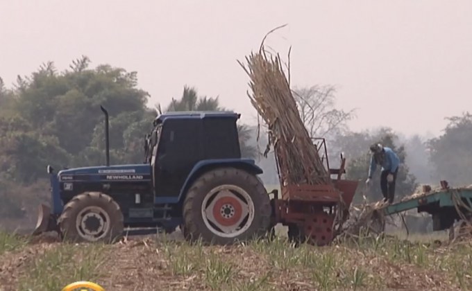 รัฐช่วยค่าปัจจัยการผลิตชาวไร่อ้อย