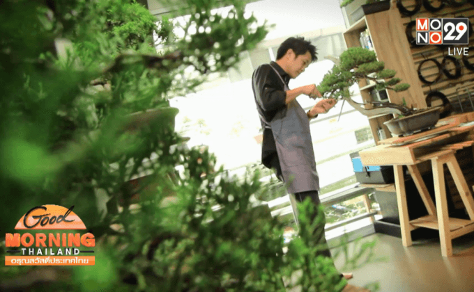 บอนไซ ดีไซเนอร์