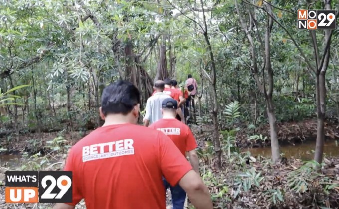 UM Thailand รวมพลัง UM Worldwide ทำกิจกรรมเพื่อสิ่งแวดล้อม