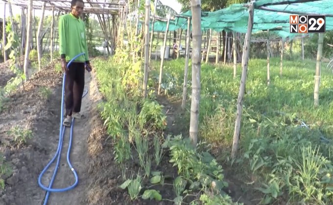 ฝนทิ้งช่วงส่งผลกระทบผักแพงช่วงกินเจ