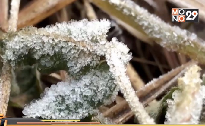 กทม.อุ่นขึ้น เหนือ – อีสานยังหนาว