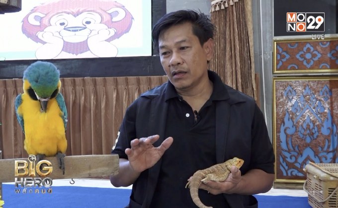 Big hero พลังคนดี ตอน นักกิจกรรมรักษ์สัตว์