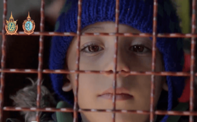 เด็กเกือบ 50 ล้านคนต้องพลัดถิ่นฐานเพราะความขัดแย้ง