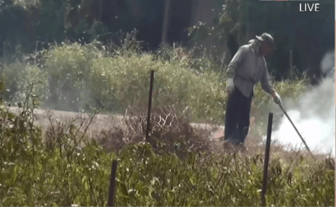 หมอกควันฟุ้งกระจายหลังมีการลับลอบเผา