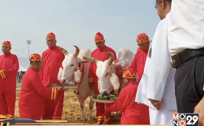 ซ้อมใหญ่พระราชพิธีพืชมงคลจรดพระนังคัลแรกนาขวัญ