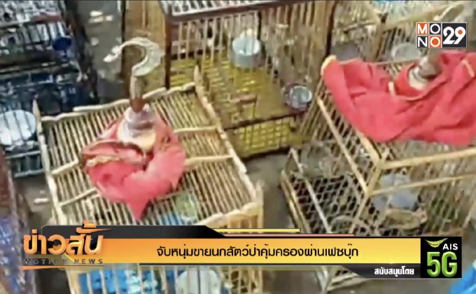 จับหนุ่มขายนกสัตว์ป่าคุ้มครองผ่านเฟซบุ๊ก