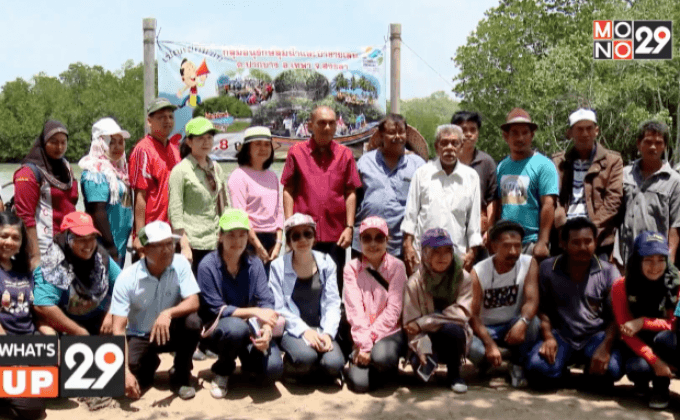 กฟผ. ร่วมสนับสนุนการพัฒนาป่าโกงกางคลองควาย