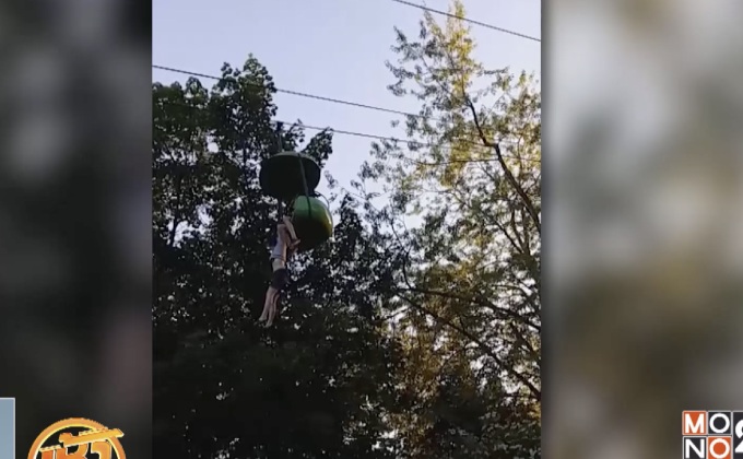 สาวอเมริกันตกจากกระเช้าสูงกว่า 7 เมตร