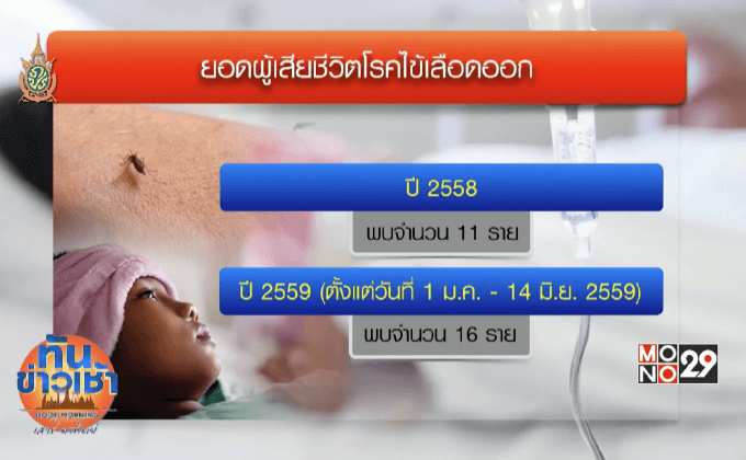 สธ.กำชับทุก รพ. แม่นยำการวินิจฉัยโรคไข้เลือดออก