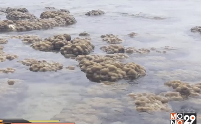 ปรากฎการณ์น้ำทะเลลดลงต่ำสุดในรอบปี