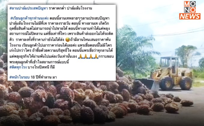 ชาวสวนปาล์มสะอื้น! ราคาต่ำ-โรงงานหยุดรับซื้อ