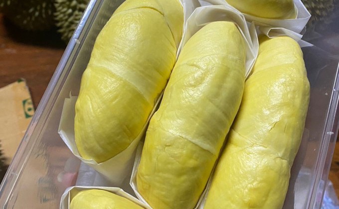 “ทุเรียนหมอนทองเขาบรรทัด” ฟันรายได้หมื่นล้าน ครองแชมป์สินค้า GI ปี 2568