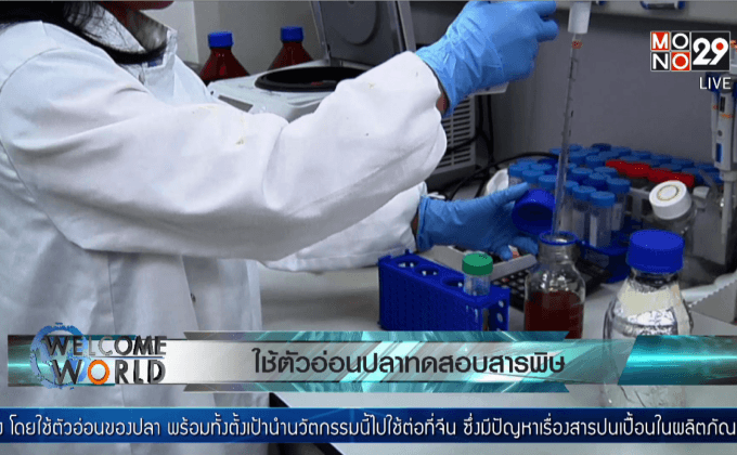 ใช้ตัวอ่อนปลาทดสอบสารพิษ