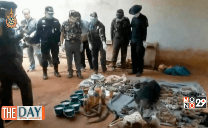 ซากเสือ วัดหลวงตามหาบัว