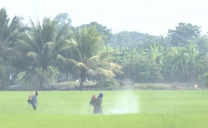 จับผลิตภัณฑ์ชีวภาพอินทรีย์ผสมพาราควอต