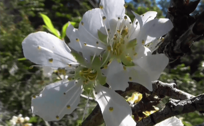 นักท่องเที่ยวสัมผัสอากาศหนาวภาคเหนือ