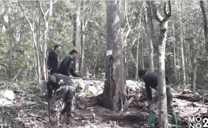 บวงสรวงพิธีตัดต้นไม้จันทร์หอม