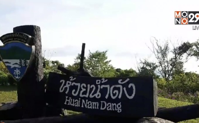 นทท.คึกคักแห่ชมทะเลหมอกห้วยน้ำดัง