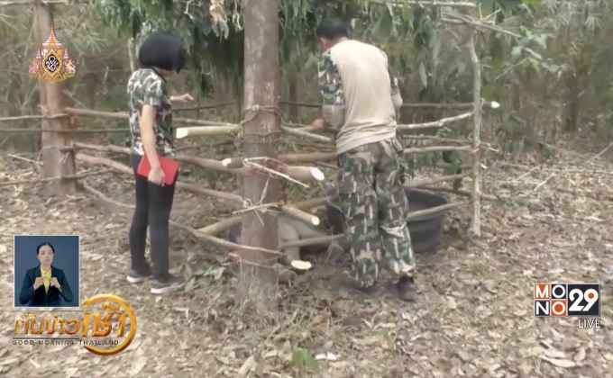 สรุปข่าว  09-04-62