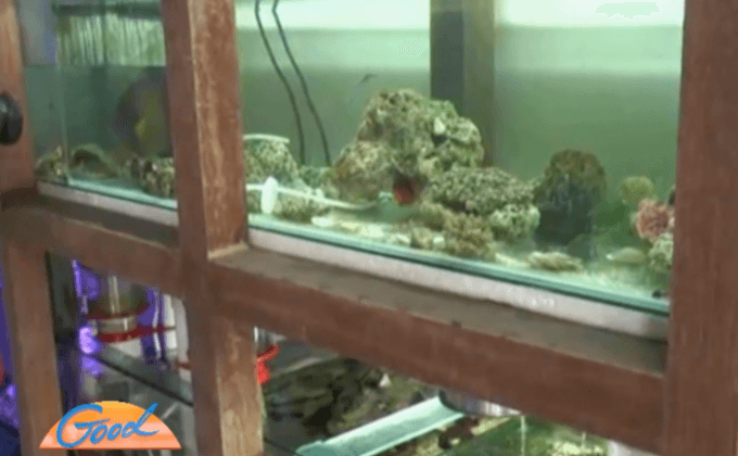 ตรวจจับร้านปะการัง จ.สุราษฎร์ธานี