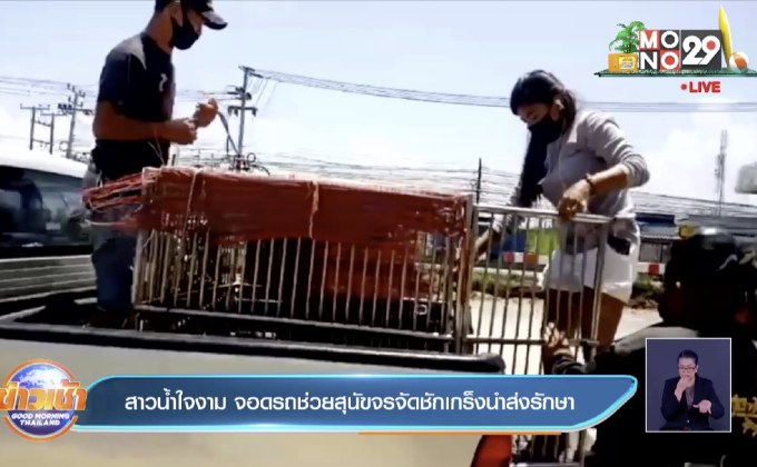 สาวน้ำใจงาม จอดรถช่วยสุนัขจรจัดชักเกร็งนำส่งรักษา