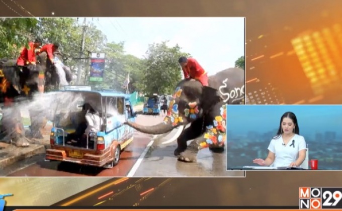 สงกรานต์อยุธยา ชวนนั่งรถตุ๊กตุ๊กเล่นสาดน้ำกับช้าง
