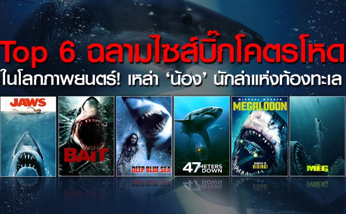 Top 6 ฉลามไซส์บิ๊กโคตรโหด ในโลกภาพยนตร์! เหล่า ‘น้อง’ นักล่าแห่งท้องทะเล