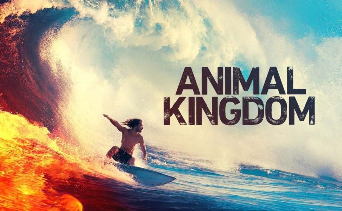 Animal Kingdom S4 แอนิมอล คองดอม ปี4
