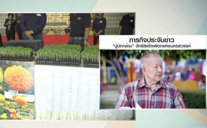 เพาะ “ดาวเรือง” รำลึกพระมหากรุณาธิคุณฯ