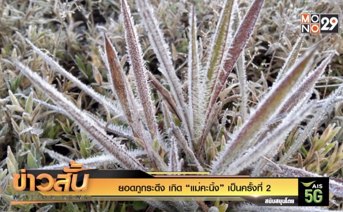 ยอดภูกระดึง เกิด “แม่คะนิ้ง”เป็นครั้งที่ 2