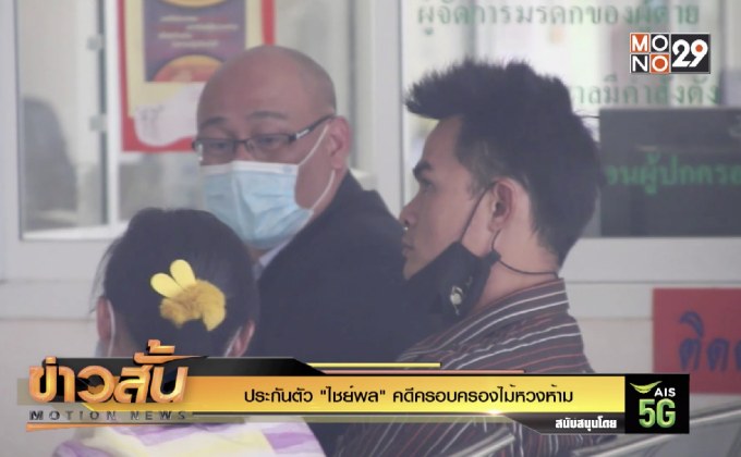 ประกันตัว “ไชย์พล” คดีครอบครองไม้หวงห้าม