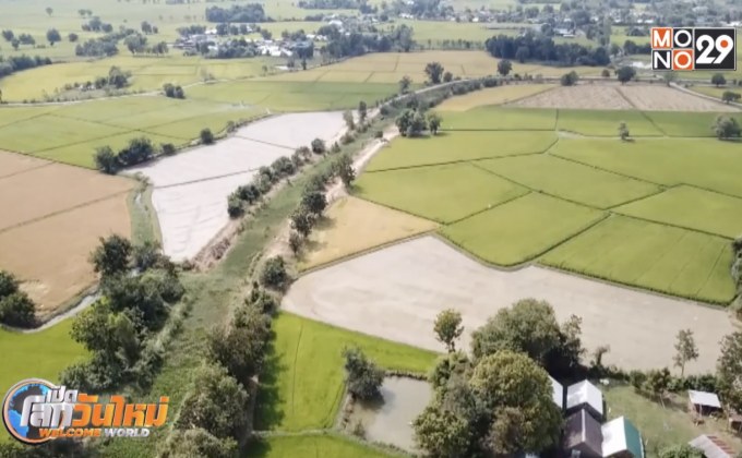 เตรียมโอนเงินช่วยเหลือชาวนาสัปดาห์หน้า