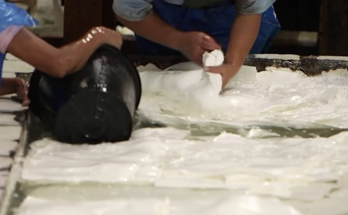 กยท.ตั้งบริษัทรับซื้อยางหวังดันราคา 