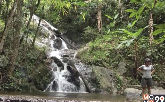 เที่ยวหน้าฝนชมความงามน้ำตกแม่กำปอง